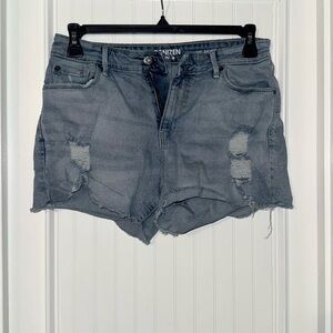 Denizen from Levi's Distressed Jean Shorts